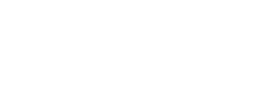 ROAMSOME